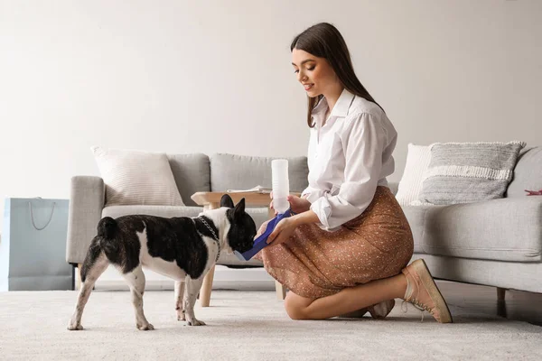 Young Woman Giving Water Her French Bulldog Home — Stock Photo, Image