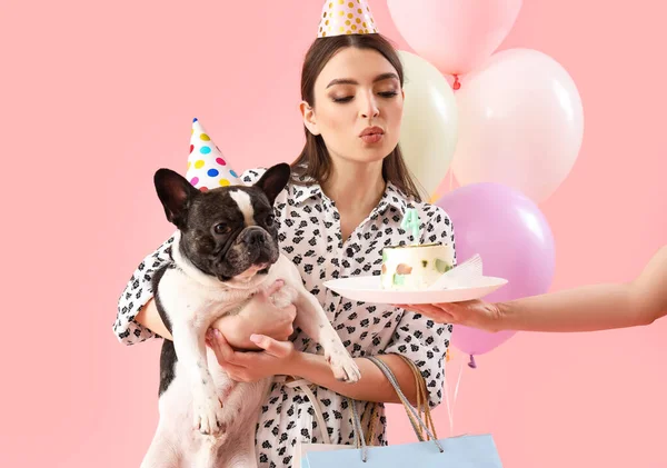 Fiatal Vele Francia Bulldog Ünneplő Születésnap Rózsaszín Háttér — Stock Fotó