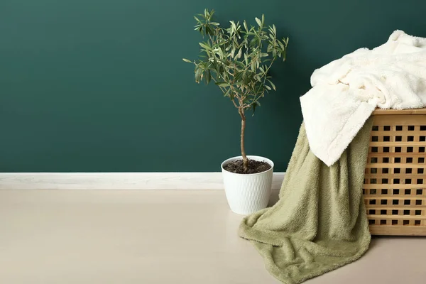 Sepetteki Yeni Yumuşak Battaniyeler Odadaki Yeşil Duvarın Yanındaki Bitki Örtüsü — Stok fotoğraf