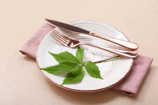 Beautiful Table Setting Clean Plate Cutlery Green Plant Leaves Beige — Stock Photo, Image