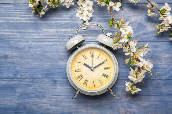 stock image Blooming spring branches and grey alarm clock on blue wooden background