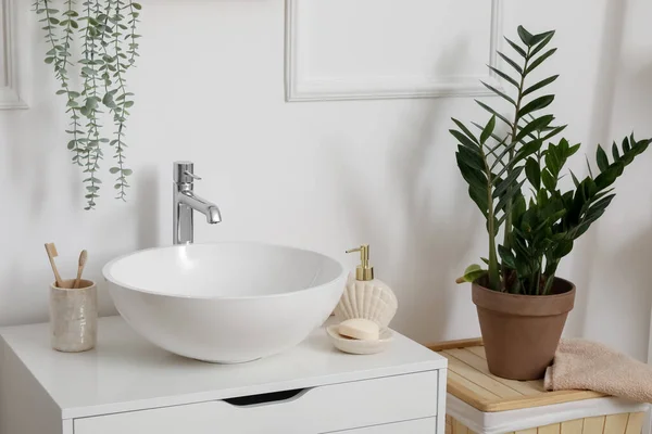 Sink Bowl Bath Accessories Houseplant Interior Bathroom — Stock Photo, Image