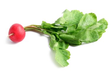 Beyaz arka plan üzerinde yaprakları ile taze turp