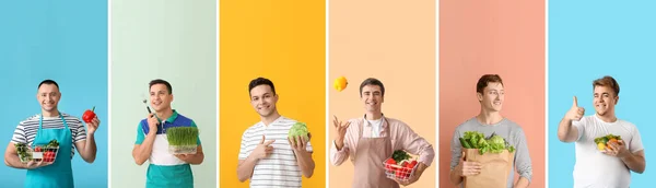配色背景不同的健康食品的年轻人的大学生活 饮食概念 — 图库照片