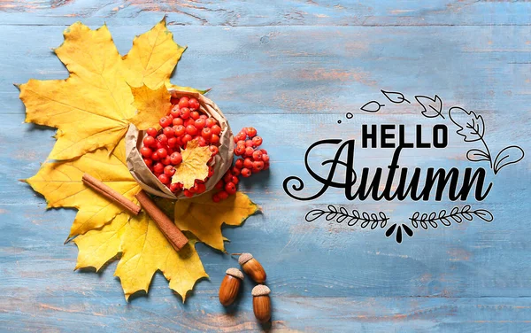 Banner Com Texto Hello Autumn Folhas Caídas Bagas Rowan — Fotografia de Stock