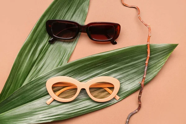 Elegantes Gafas Sol Con Hojas Palmera Rama Árbol Sobre Fondo — Foto de Stock