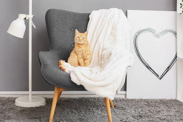Χαριτωμένο Γάτα Τζίντζερ Κάθεται Στην Πολυθρόνα Στο Σπίτι — Φωτογραφία Αρχείου