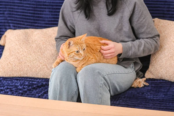 Woman stroking ginger cat on sofa at home, closeup