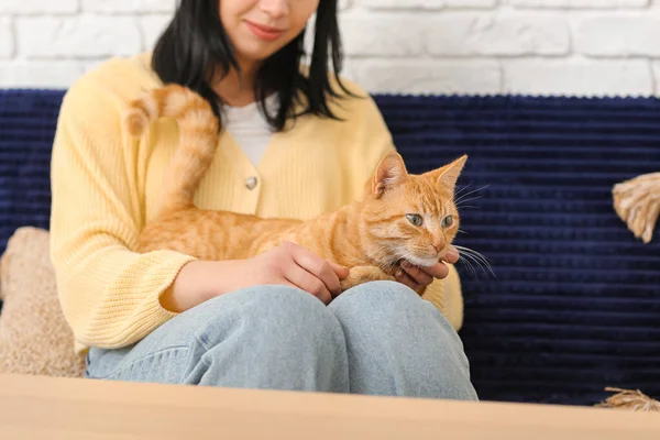 Woman Ginger Cat Sitting Sofa Home Closeup — Stock Photo, Image