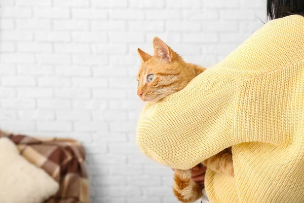 Woman Ginger Cat Home Closeup — Stock Photo, Image