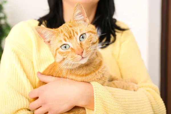 Woman Ginger Cat Home Closeup — Stock Photo, Image