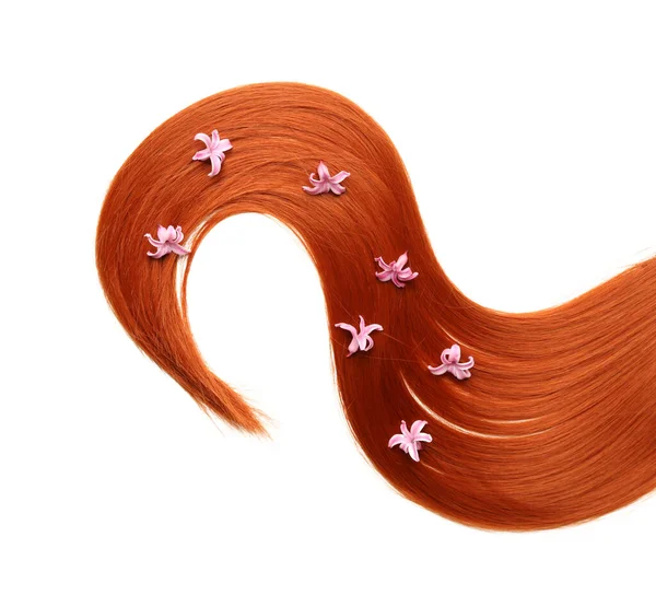 Ginger Kosmyk Włosów Hiacynt Kwiaty Białym Tle Zbliżenie — Zdjęcie stockowe
