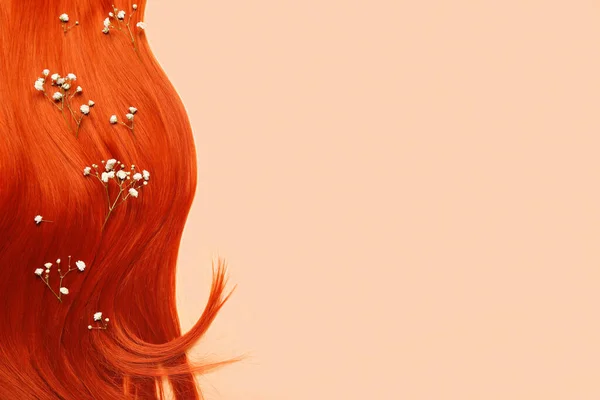 Ingwer Haarsträhne Mit Schönen Zigeunerblumen Auf Farbigem Hintergrund — Stockfoto