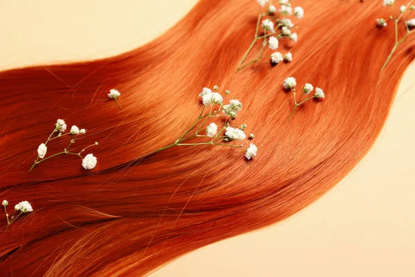 Zázvor Vlasy Pramen Krásnou Gypsophila Květiny Barevném Pozadí Detailní — Stock fotografie