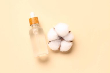 Renkli arka planda bir şişe temel yağ ve pamuk çiçeği.