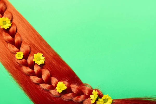 带辫子的生姜毛和彩色背景的花 — 图库照片