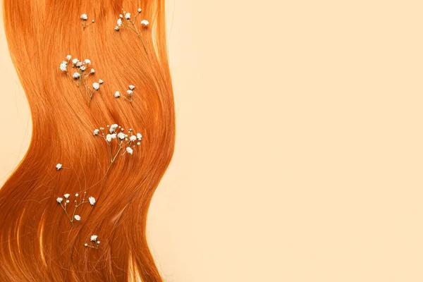 Рыжие Волосы Прядь Красивыми Цветами Гипсофилы Цветном Фоне — стоковое фото