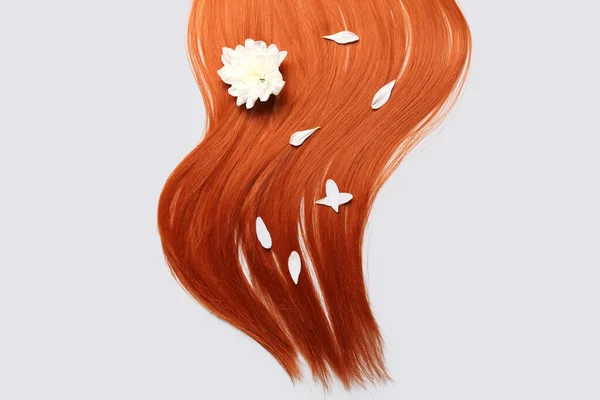 白い背景に生姜の髪と花の花びらで構成され クローズアップ — ストック写真