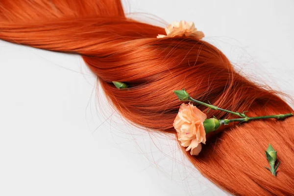 Gyönyörű Vörös Haj Szegfű Virágok Fehér Háttér Közelkép — Stock Fotó