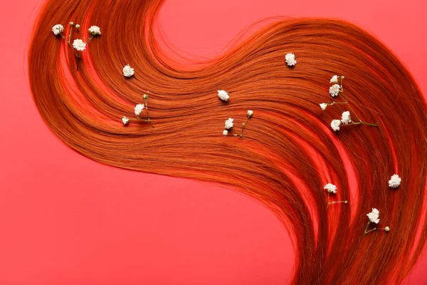 Σύνθεση Κόκκινα Μαλλιά Και Λουλούδια Κόκκινο Φόντο Closeup — Φωτογραφία Αρχείου