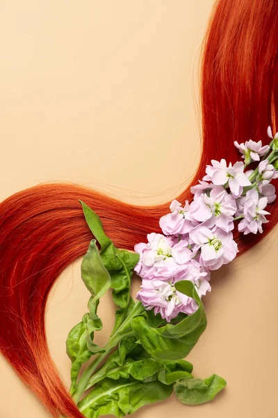 Zázvor Vlasy Vlákno Krásná Květina Barevném Pozadí Detailní Záběr — Stock fotografie