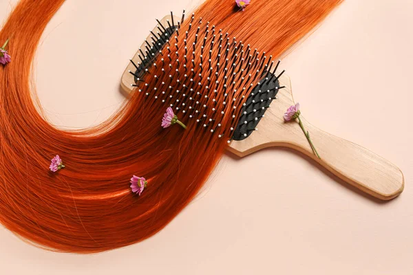 Složení Zázvorovým Pramenem Vlasů Květy Štětcem Barevném Pozadí Detailní Záběr — Stock fotografie