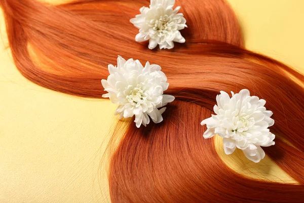 Krásné Zrzavé Vlasy Květy Chryzantémy Žlutém Pozadí Detailní Záběr — Stock fotografie