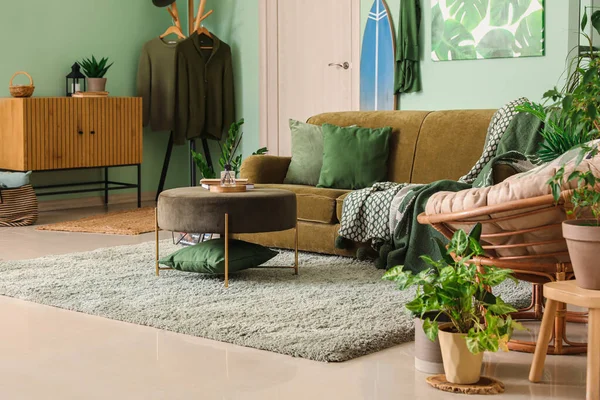 室内装饰时尚客厅 室内有室内盆栽 沙发和扶手椅 — 图库照片