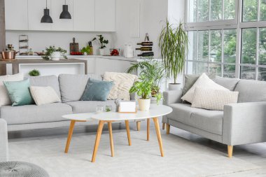 Işıl ışıl, gri koltukları ve kahve masası olan açık uzay mutfağı.