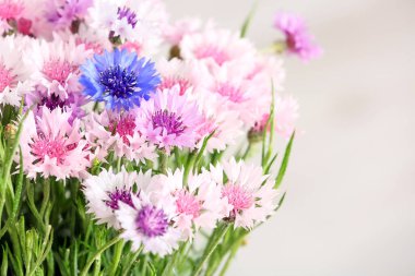 Bir buket güzel çiçek, yakın plan.