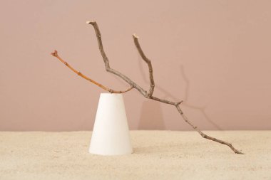 Kum üzerinde ağaç dalı olan dekoratif sıva podyumu kahverengi arka planda