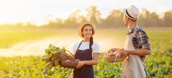 Young Farmers Harvest Green Field — Stock Photo, Image
