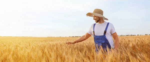 Güneşli Günde Buğday Tarlasında Çiftçi — Stok fotoğraf