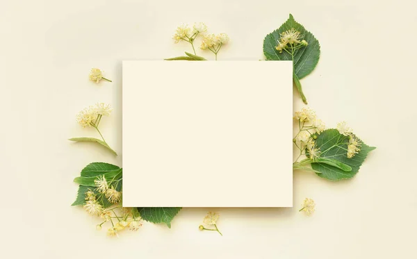 彩色背景的空白卡片和芳香的林登花的组合 — 图库照片
