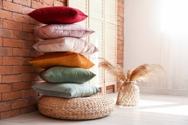 Süslü yastıklar puf ve vazoda pampa otu olan vazolar