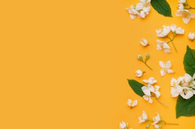 Taze yasemin çiçekleriyle kompozisyon ve renk arkaplanda yapraklar