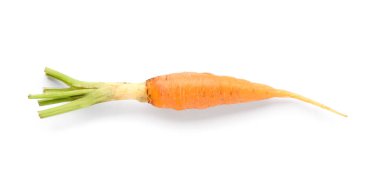 Beyaz arka planda taze havuç