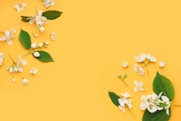 stock image Composition with fresh jasmine flowers and leaves on color background