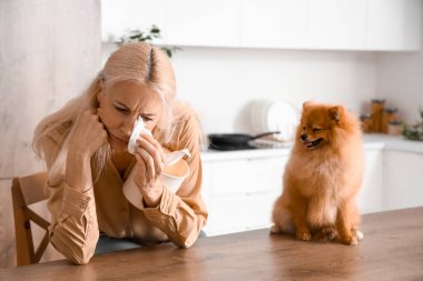 Dokuları ve Pomeranya köpeği olan yetişkin bir kadın.