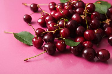 Tatlı kiraz yığını ve pembe arka planda yapraklar