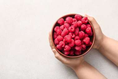 Beyaz arka planda taze ahududu kabı olan kadın eller.