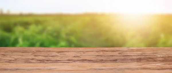 stock image Empty wooden table in green vegetable field