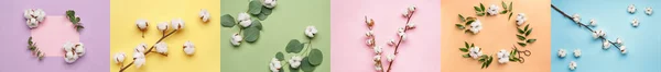 Collage Flores Algodón Suave Sobre Fondo Color — Foto de Stock