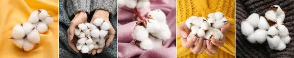 柔らかい綿の花のコラージュ ニットのセーターや生地の女性 — ストック写真