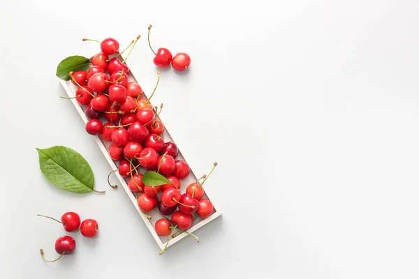 Tray Sweet Cherries White Background — Stock Photo, Image