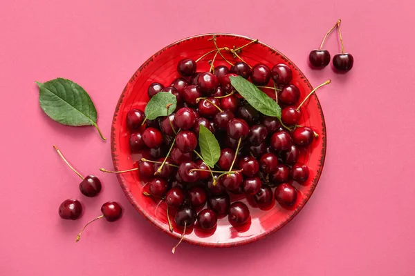 Plate Sweet Cherries Leaves Pink Background — Stock Photo, Image