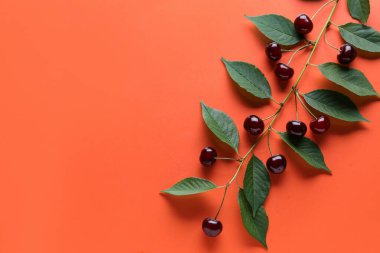 Yapraklı ağaç dalı ve turuncu arka planda tatlı kirazlar