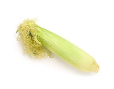 Beyaz arkaplanda taze mısır koçanı