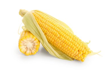 Beyaz arkaplanda taze mısır koçanları