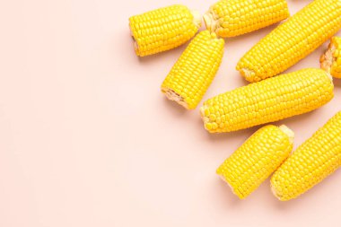 Pembe arka planda taze mısır koçanları